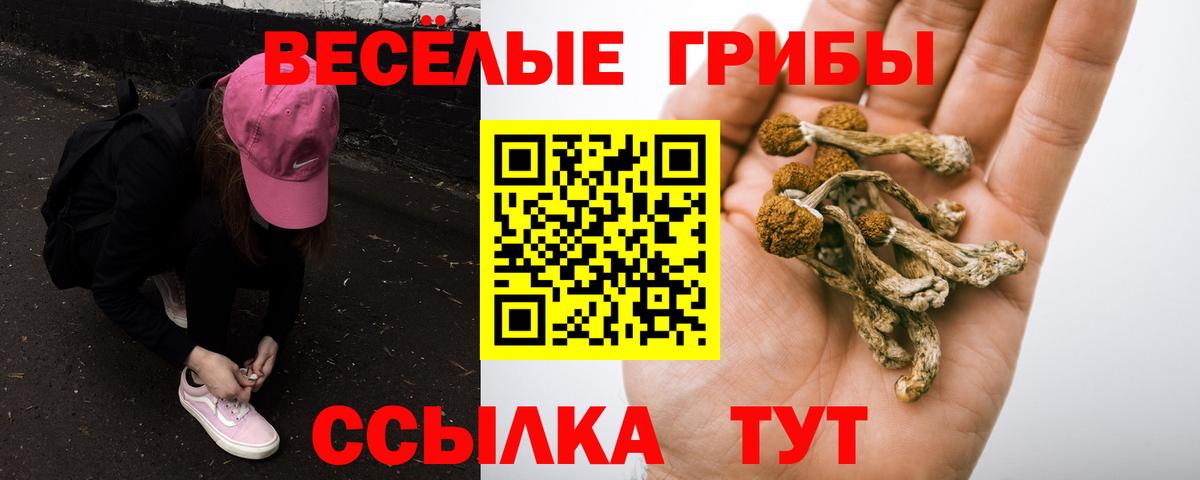 Азов  Галлюциногенные грибы Cubensis  Вход с VPN 